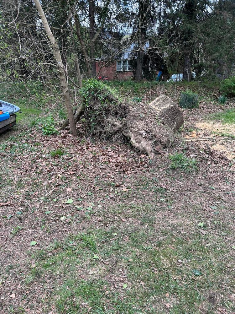 All Photos for NRV Tree Pro, LLC in Narrows, VA