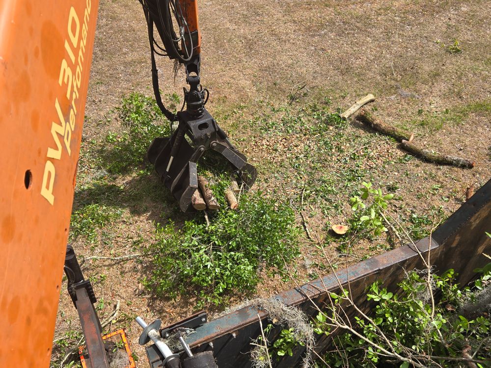 All Photos for Near Me Tree Service, Inc. in DeLand, FL