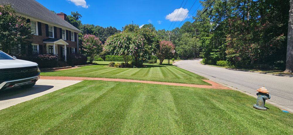 Beautiful Lawns for Natures Accent in Wilson, NC