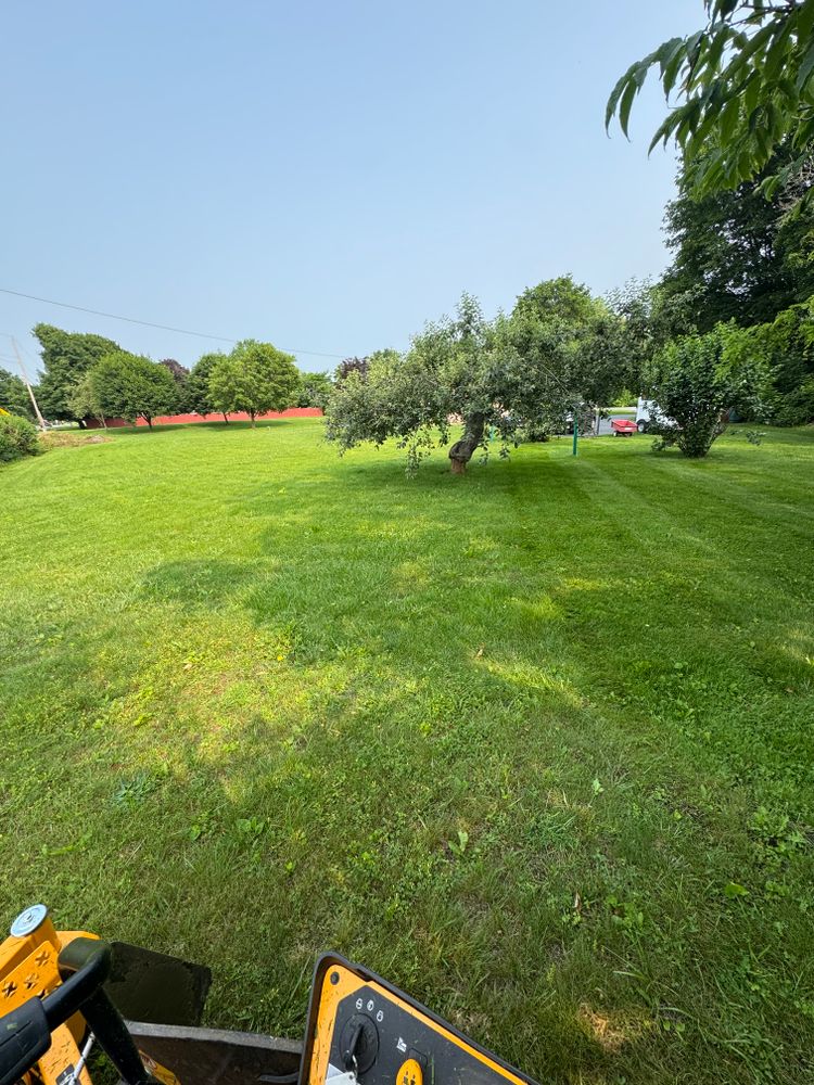 All Photos for Landscape & Lawn Care Pros in Temple, PA