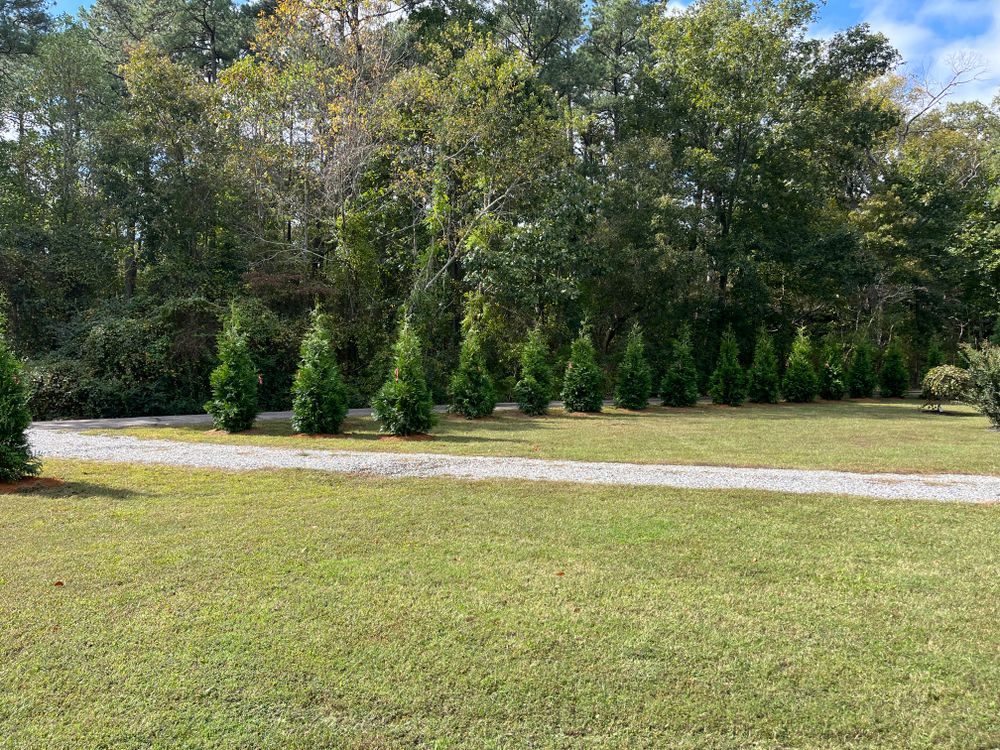 All Photos for Atlas Home Services in Mechanicsville, VA