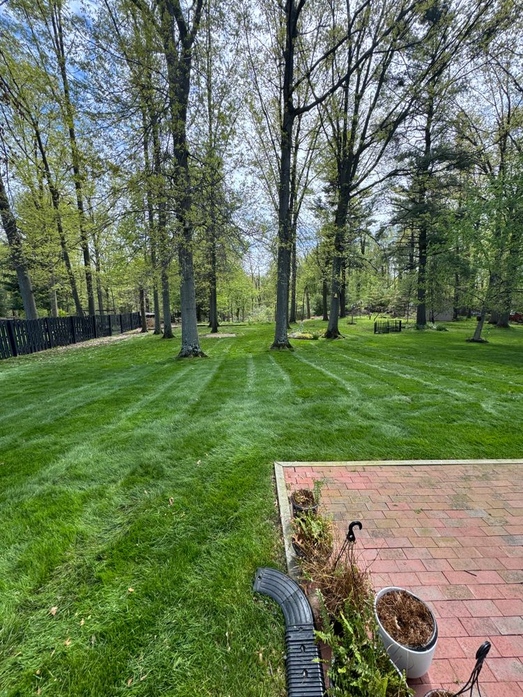 All Photos for Yard Theory in Willowick, OH