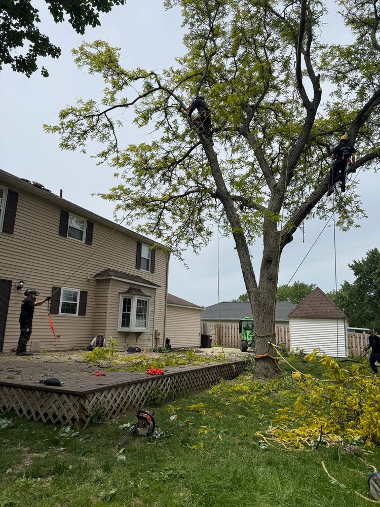 All Photos for Down To Earth Tree Service, LLC in Olmsted Falls, OH