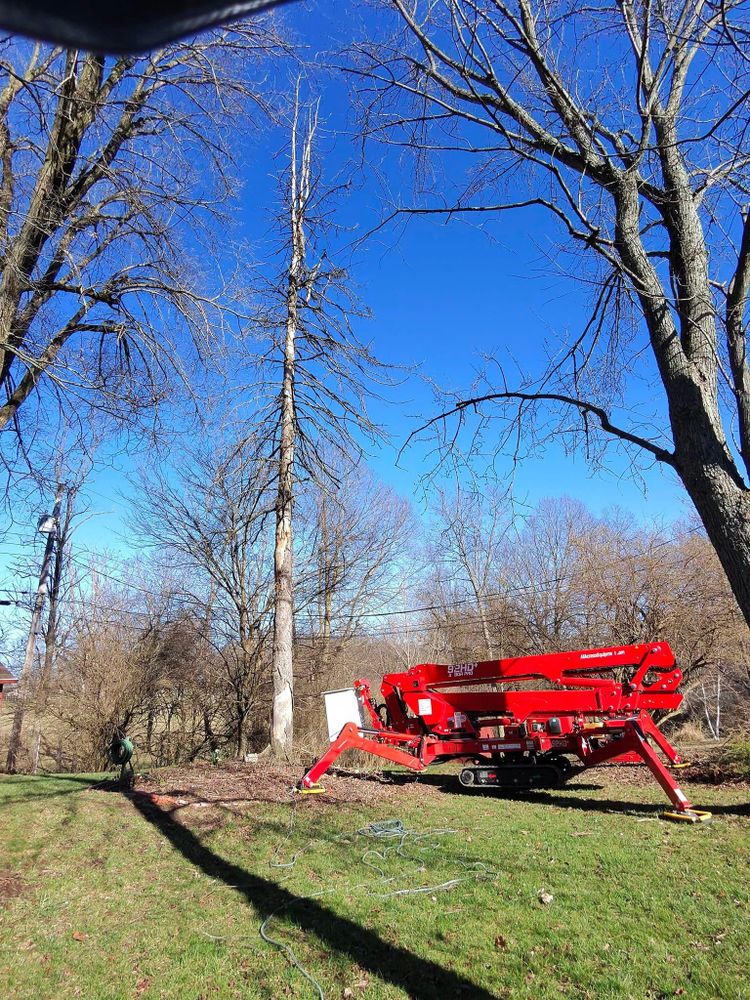 All Photos for F & F Tree Service in Beavercreek, OH
