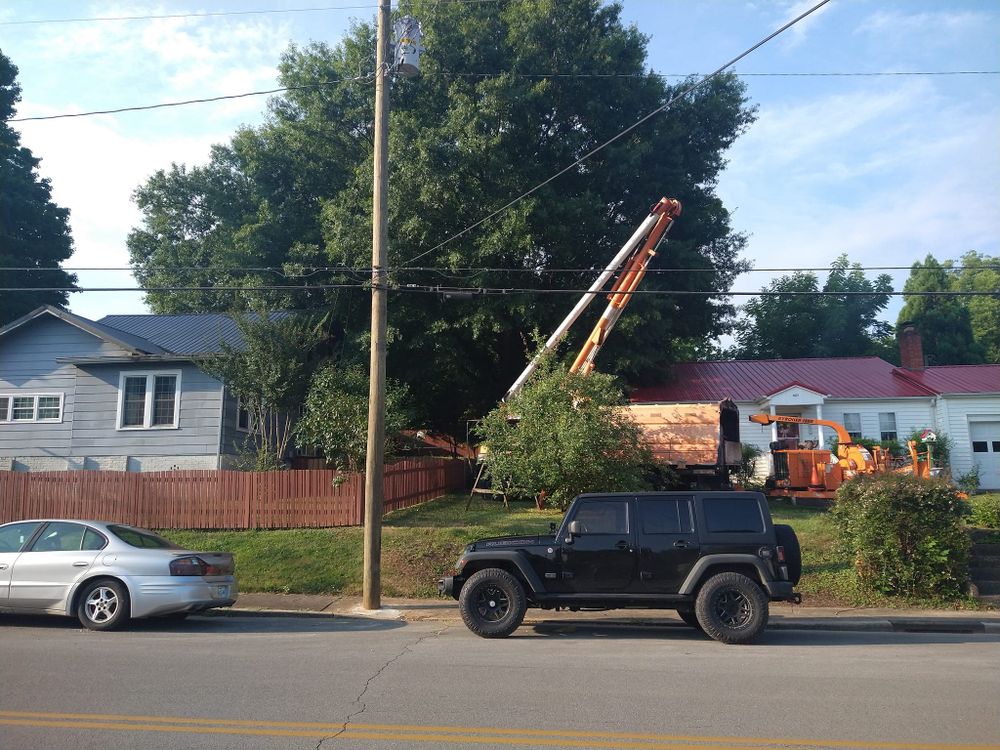 Tree Removal for Scott's Tree Service in Athens, TN
