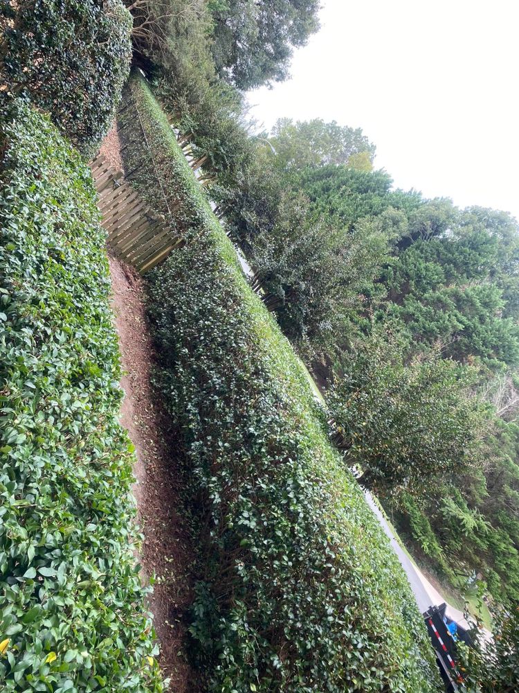 All Photos for Superior Lawn Solution in Coats, NC