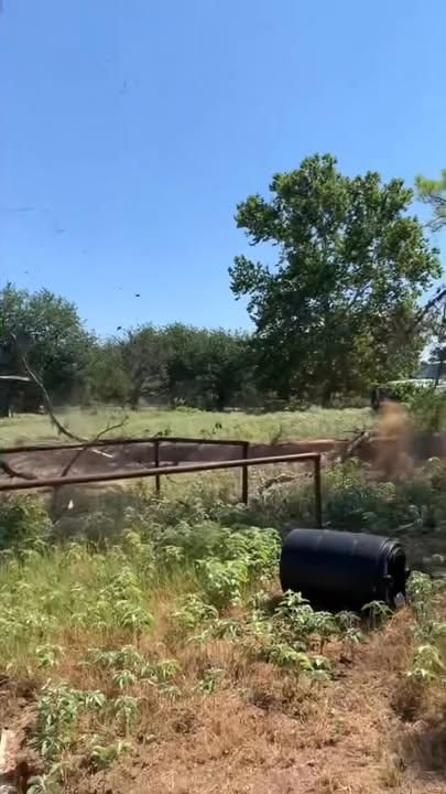 All Photos for Marks Tree Service in Fort Worth, TX