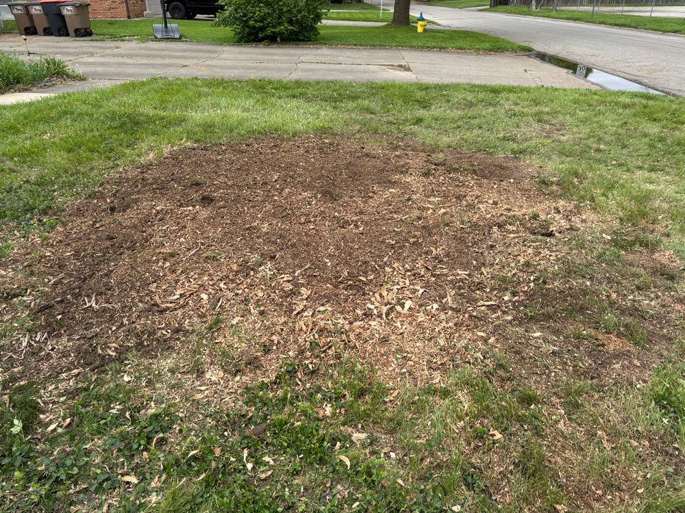 All Photos for Conrad's Stump Removal in Columbus, IN