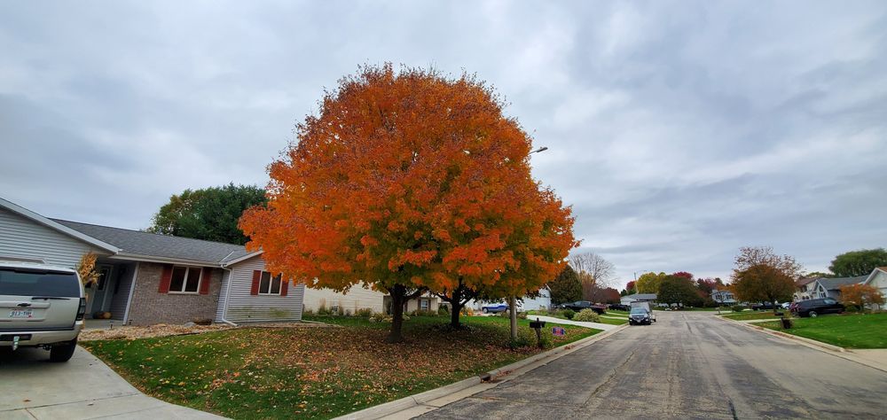 Lawn Care for Austin's All Season's Services LLC in Watertown, WI