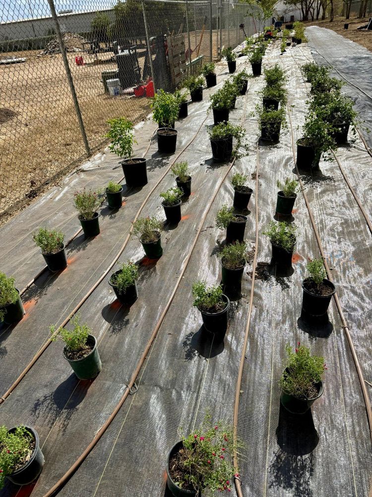 All Photos for Bright Green Irrigation System in San Antonio, TX