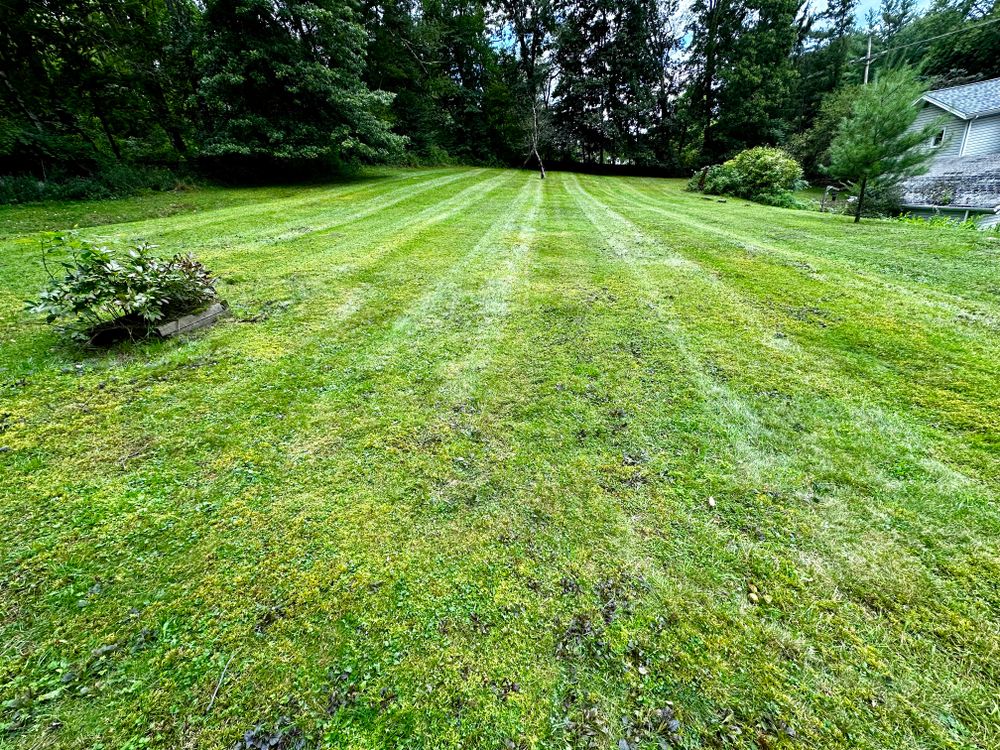Lawn Care for Lopez Landscaping and Hardscapes in Scranton, PA