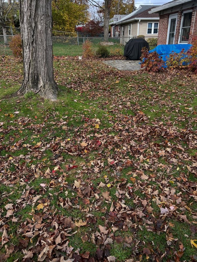 All Photos for Bumblebee Lawn Care LLC in Albany, New York