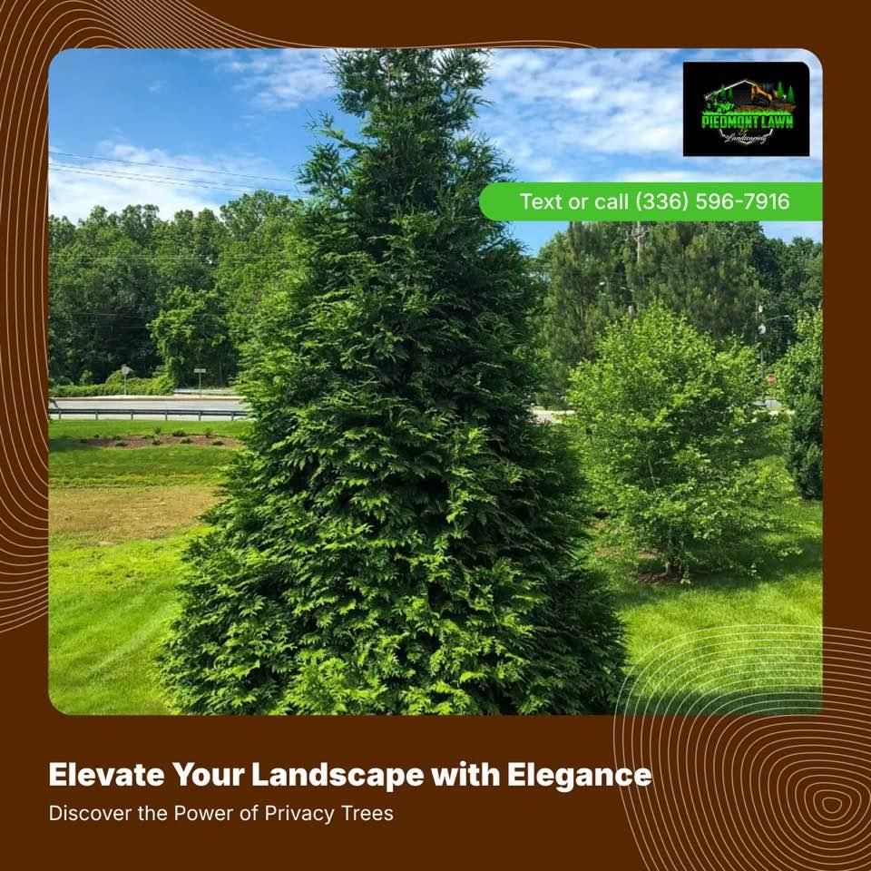 All Photos for Piedmont Lawn and Landscaping in Lexington, NC
