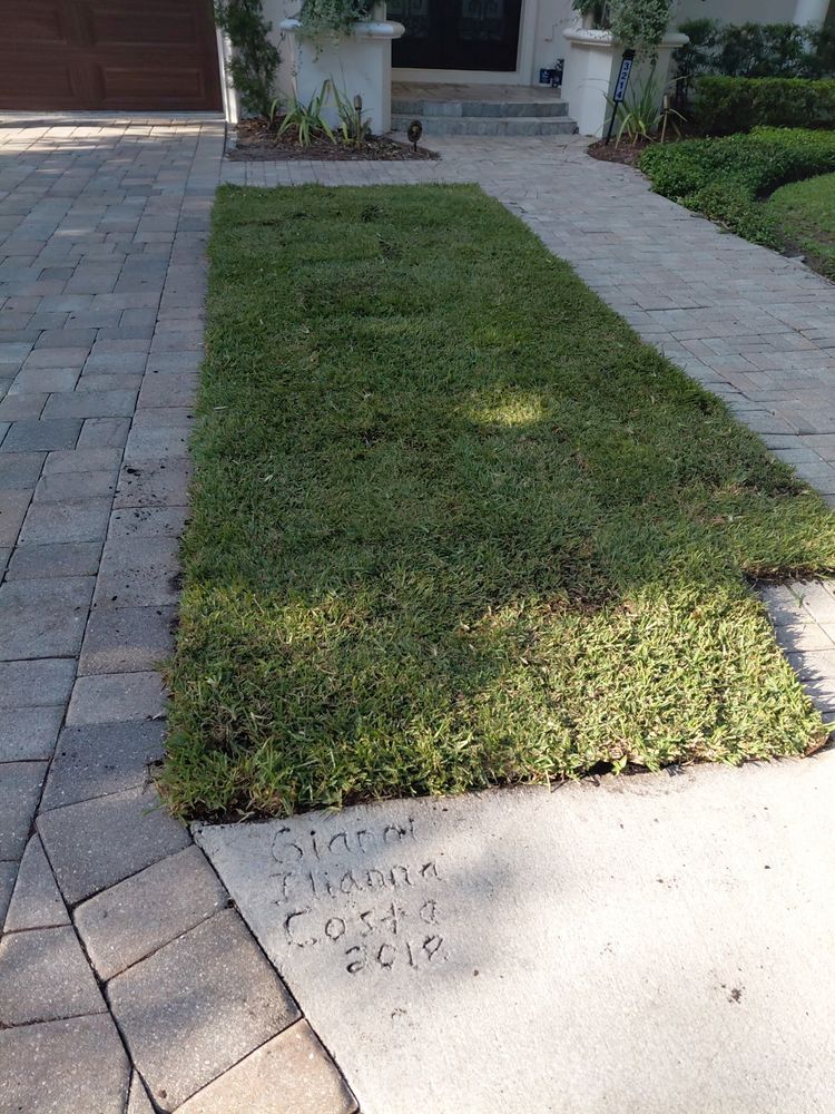 All Photos for Gulf Bay Sod in Clearwater, FL