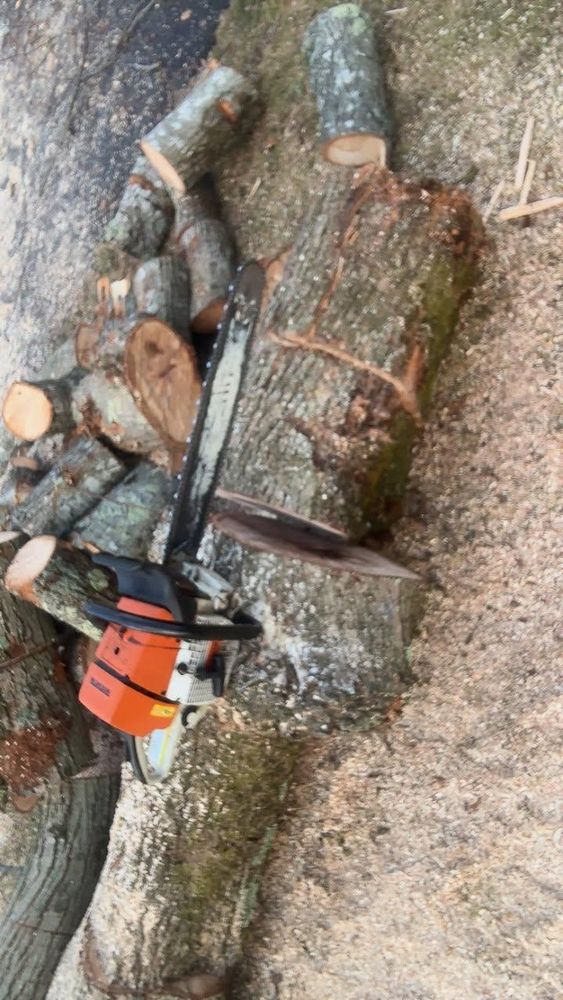 All Photos for Dwights Tree Service in Middleborough, MA