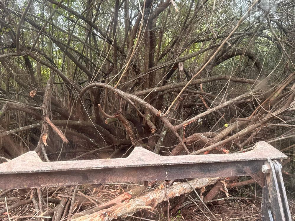 All Photos for McLeran in Naples, FL