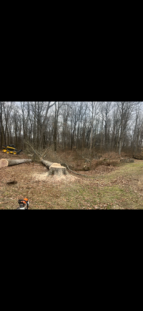 All Photos for Kadin’s Tree Service in North Vernon, IN