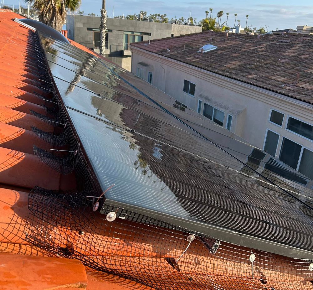 Our Work for Amazing View Services in San Diego, CA