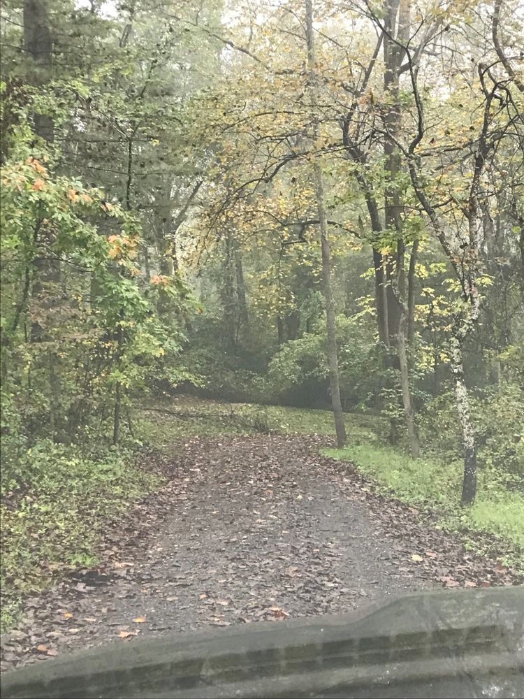 All Photos for 9999 Building and Renovation LLC in Warrenton, VA