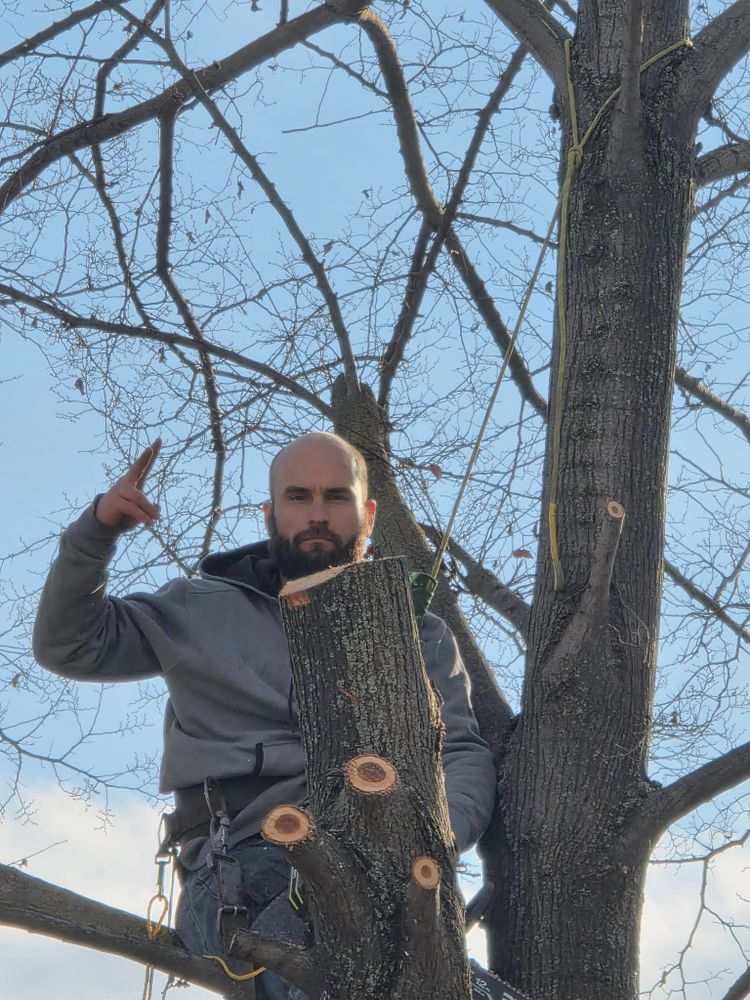 All Photos for Dustin Shaw LLC in Lewiston, ID