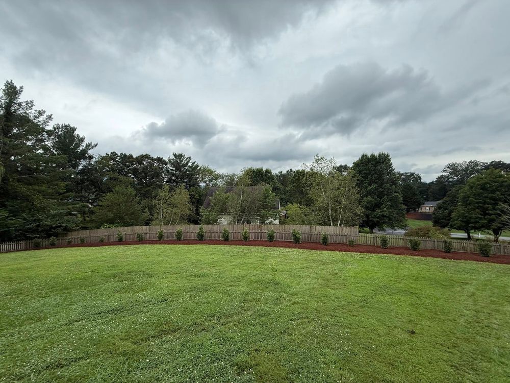 Enhance your home's curb appeal with our comprehensive Lawn Care & Maintenance service, offering expert mowing, fertilization, and weed control to ensure your lawn remains healthy and vibrant year-round. for Torres Tree Service and Landscaping in Hendersonville, NC