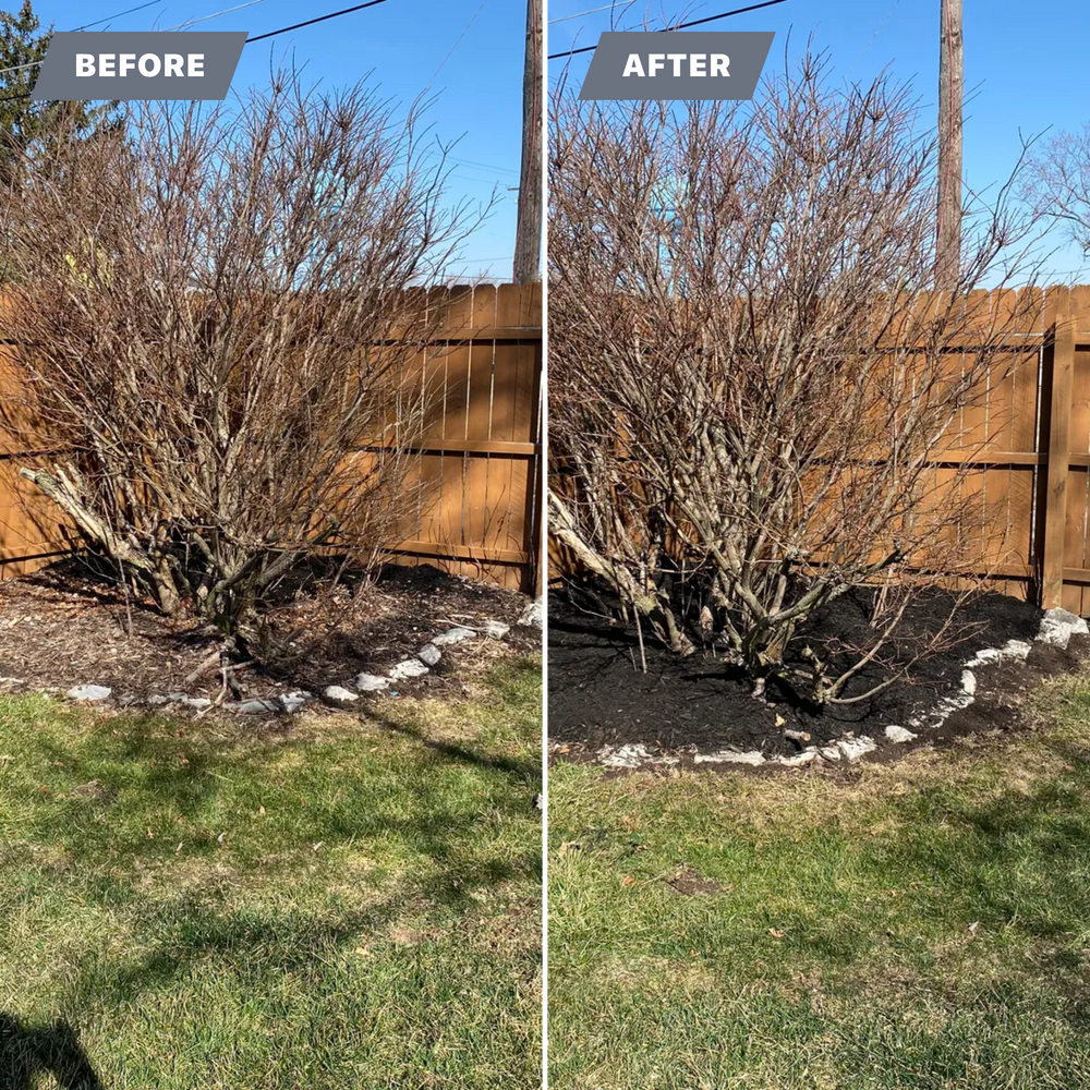 All Photos for Bearforce Lawn Care LLC in Greenfield, IN