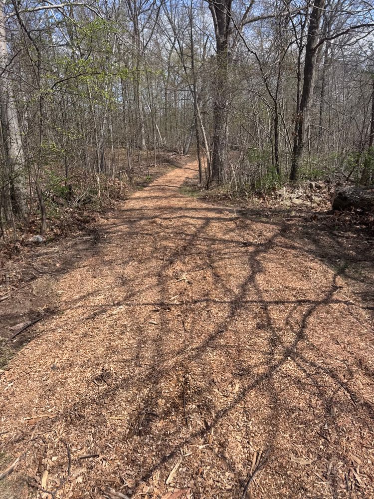 Grading for Steed's Lawn and Landscape LLC in White Lake, MI