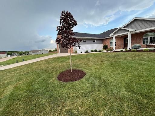 All Photos for Cena Landscaping in Rockford, IL