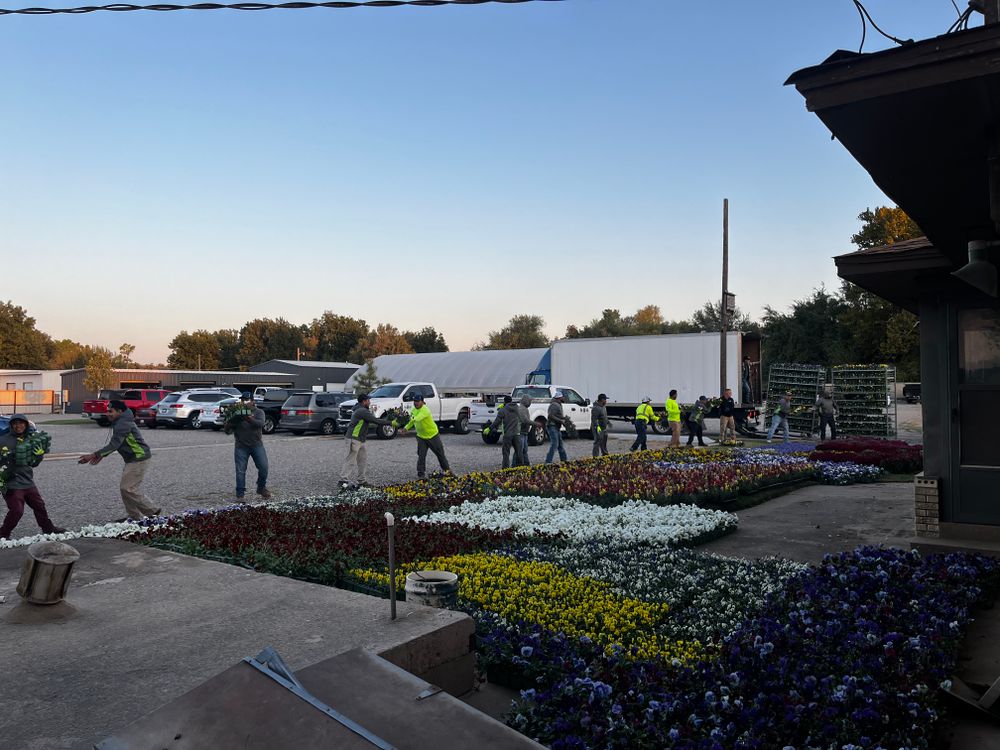 Seasonal Color for Urban Lawn & Landscape in Oklahoma City, OK