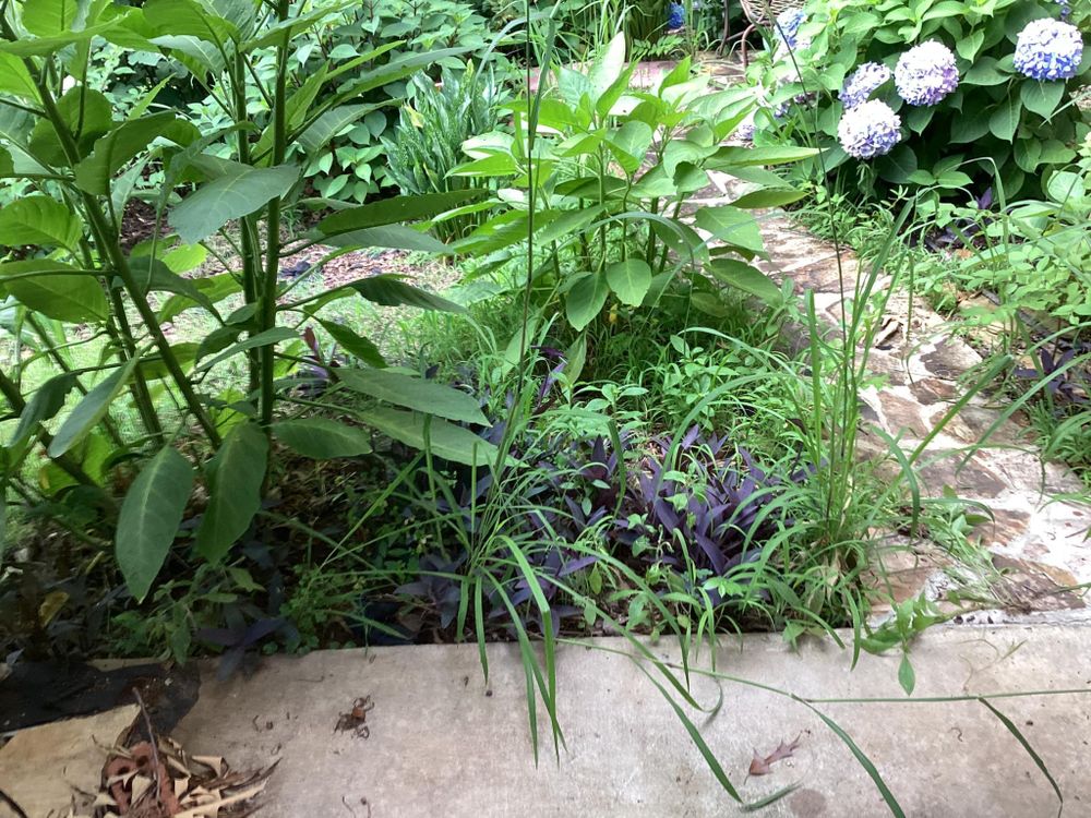 All Photos for Xtreme Landscaping & Lawn Care in Lincoln, AL