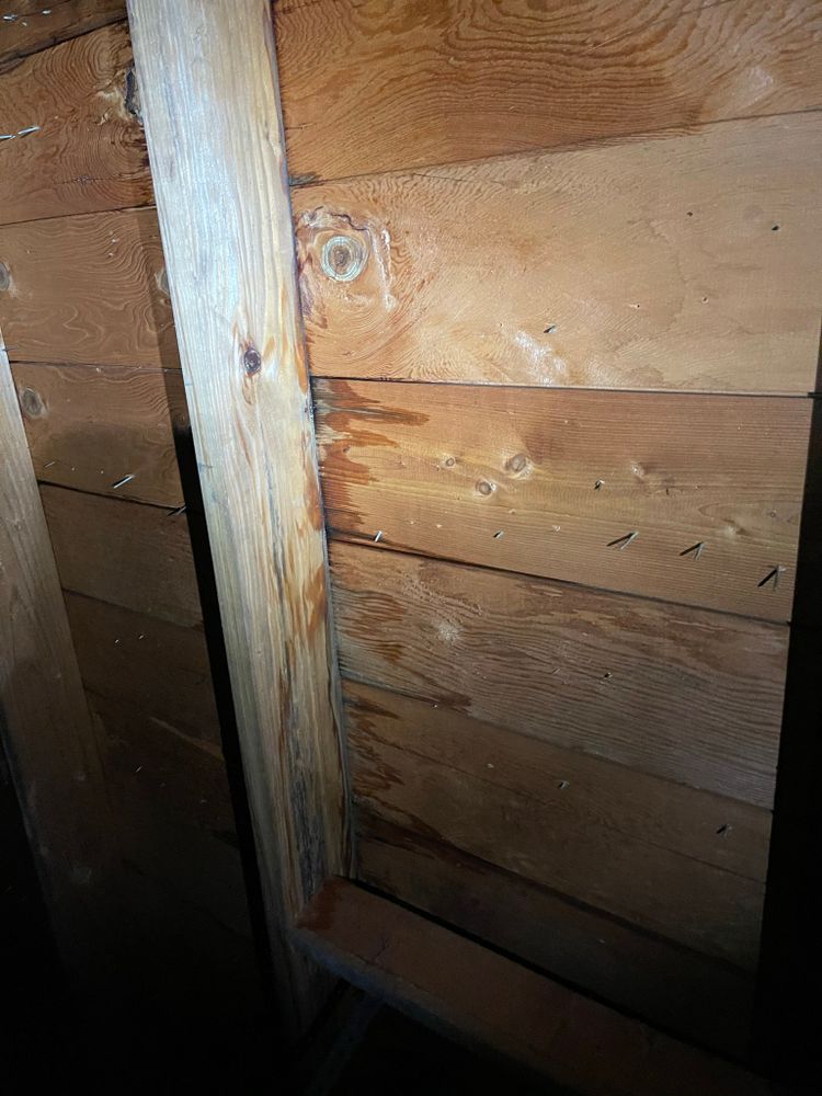 All Photos for Tony's Remodeling & Painting in Renton, WA