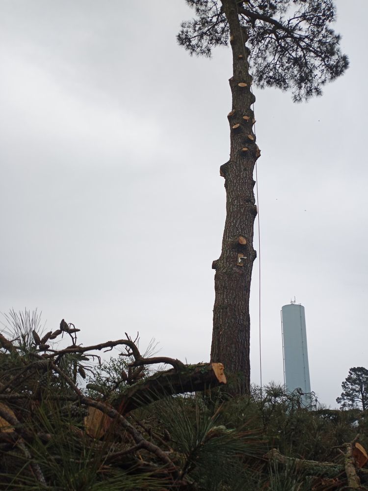 All Photos for Leon Landscaping & Tree Service in Palestine, TX