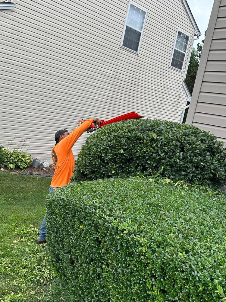 All Photos for Luna Landscaping and Construction in Parkville, MD