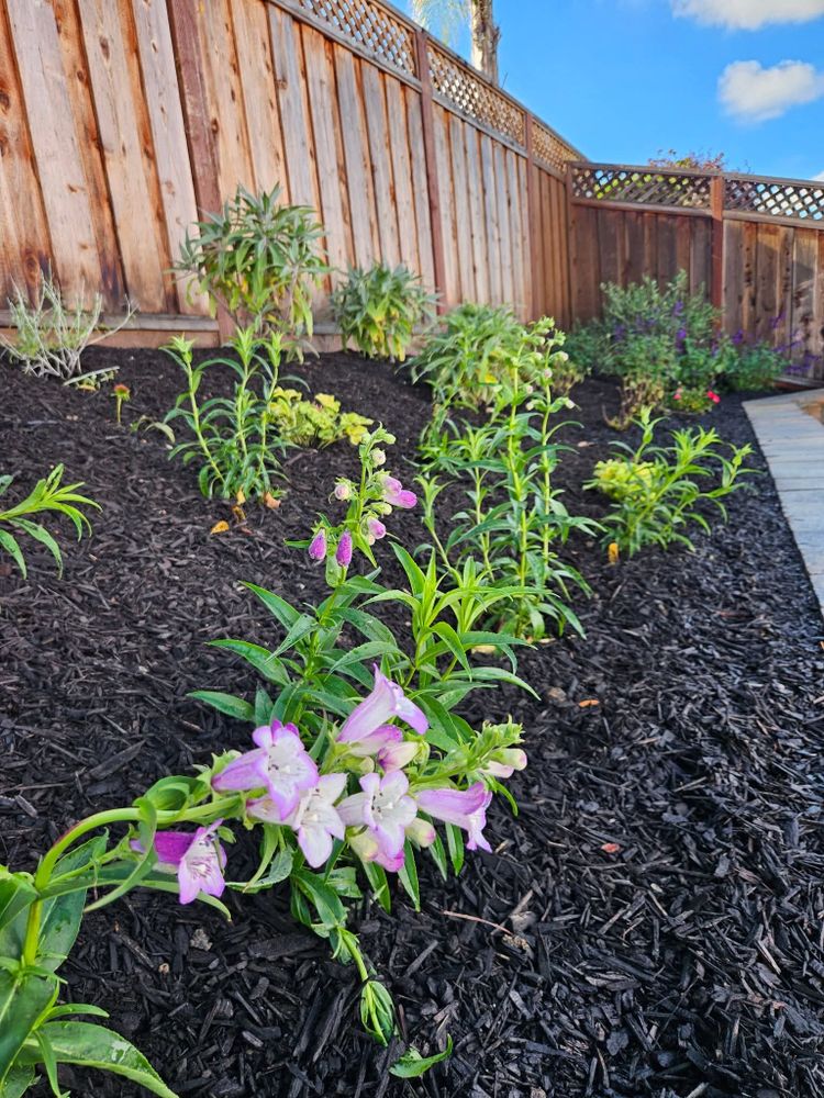 Themed Horticultural Designs for Martin Stanko Landscape Construction in Livermore, CA