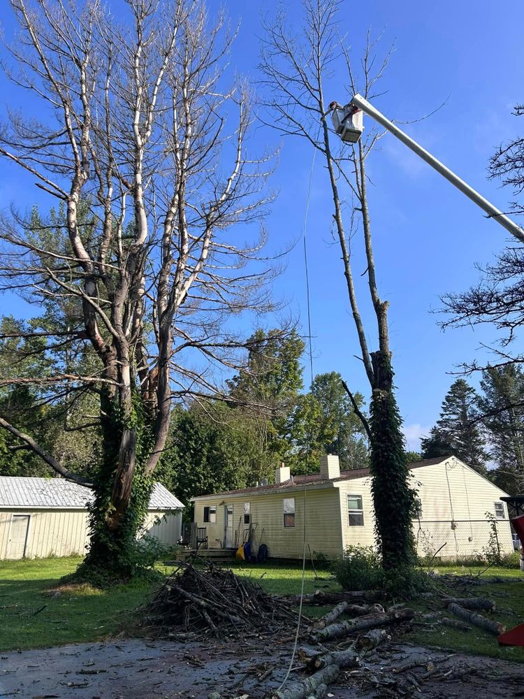 All Photos for Lovenguth Logging and Tree Service in West Monroe, NY