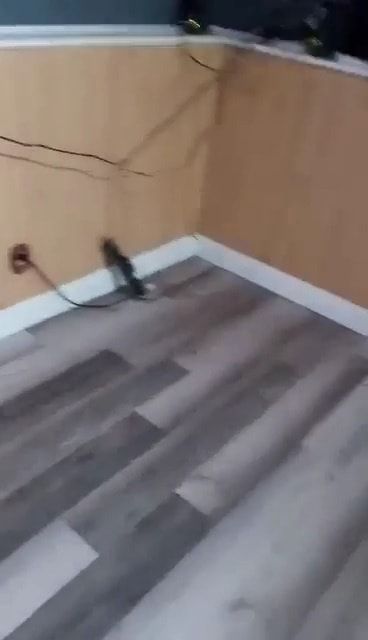 All Photos for Tailored Interior and  Exterior Designs in Falmouth, KY