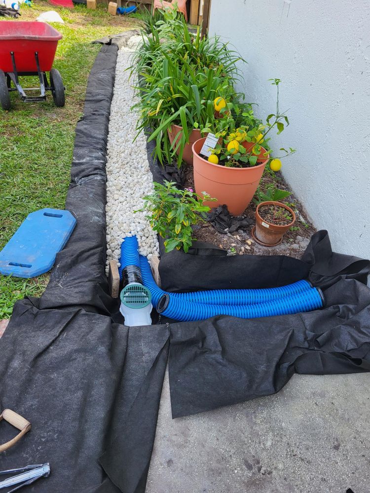 All Photos for Sam's French Drains and Landscape in Orlando, Florida