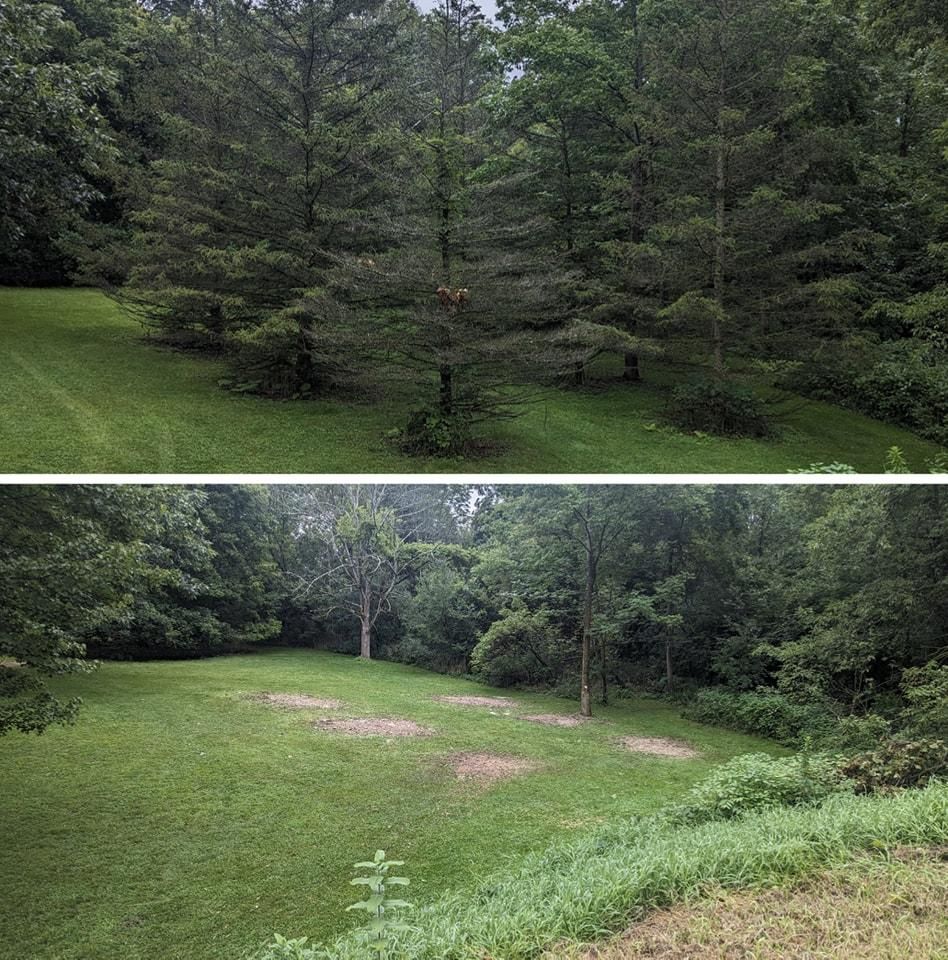 All Photos for TW Services in Oppenheim, NY