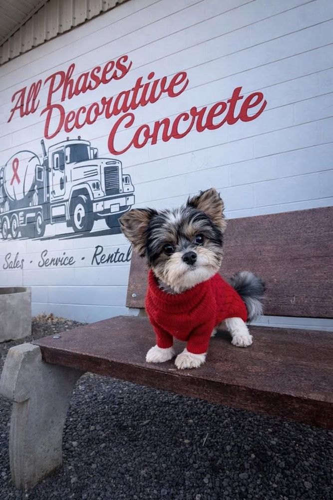 All Photos for All Phases Decorative Concrete in Sebring, FL