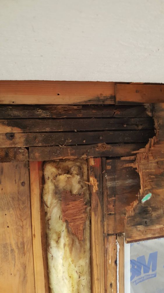 All Photos for Home Pros in Maple Falls, WA