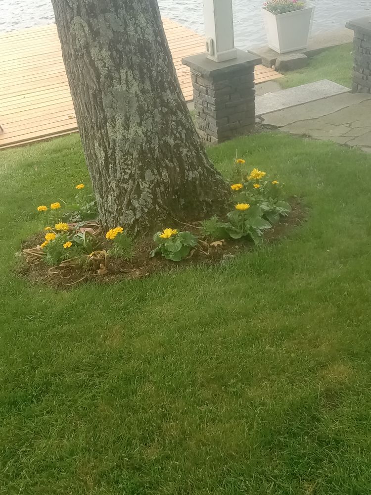 All Photos for K Brown's Property Maintenance in Pittsfield, MA
