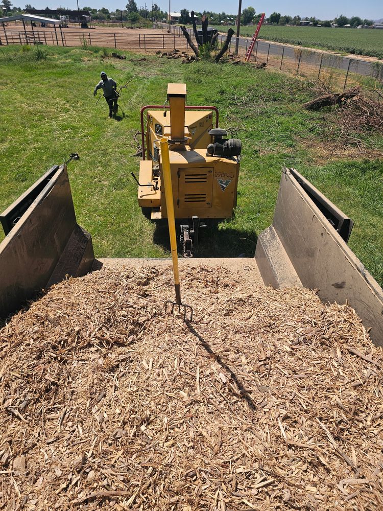 All Photos for T's Tree Service and Firewood in Apache Junction, AZ