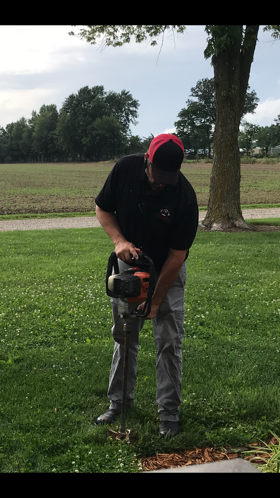 Termite for All-In Pest Control & Home Solutions in Greene County, IN