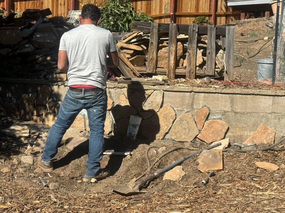 Property Clean Up for The Tree Fairy in Temecula, CA