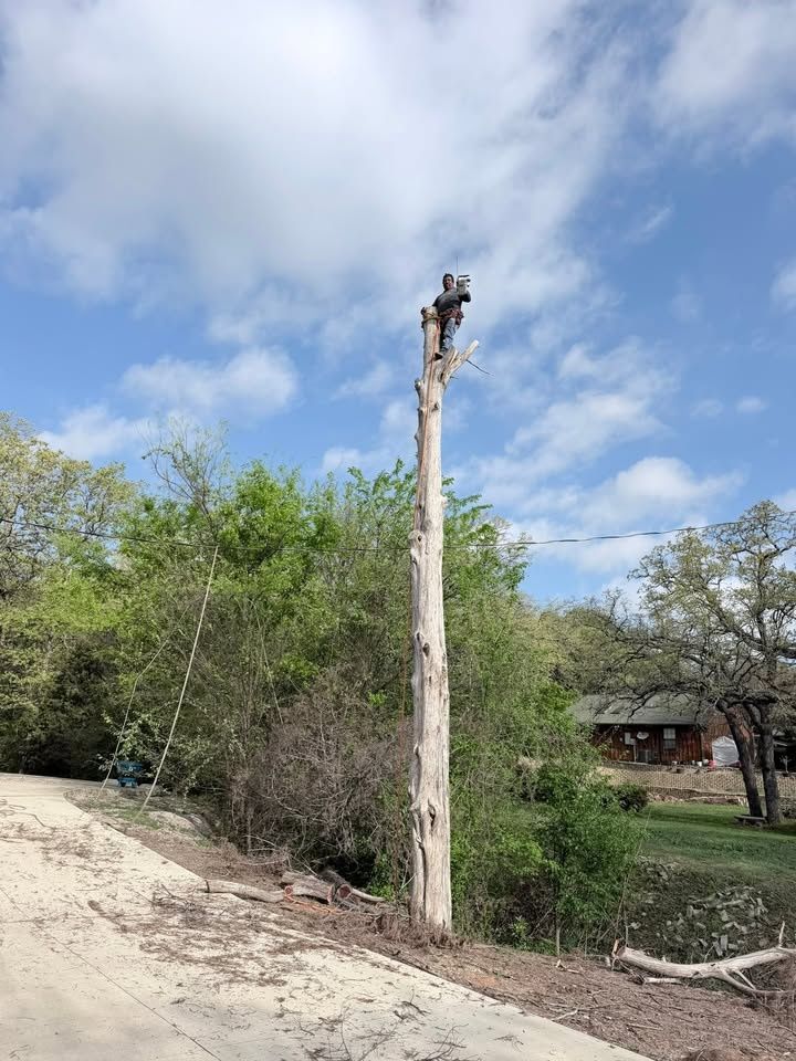 All Photos for Year Round Trees & Concrete Inc. in Fort Worth, TX