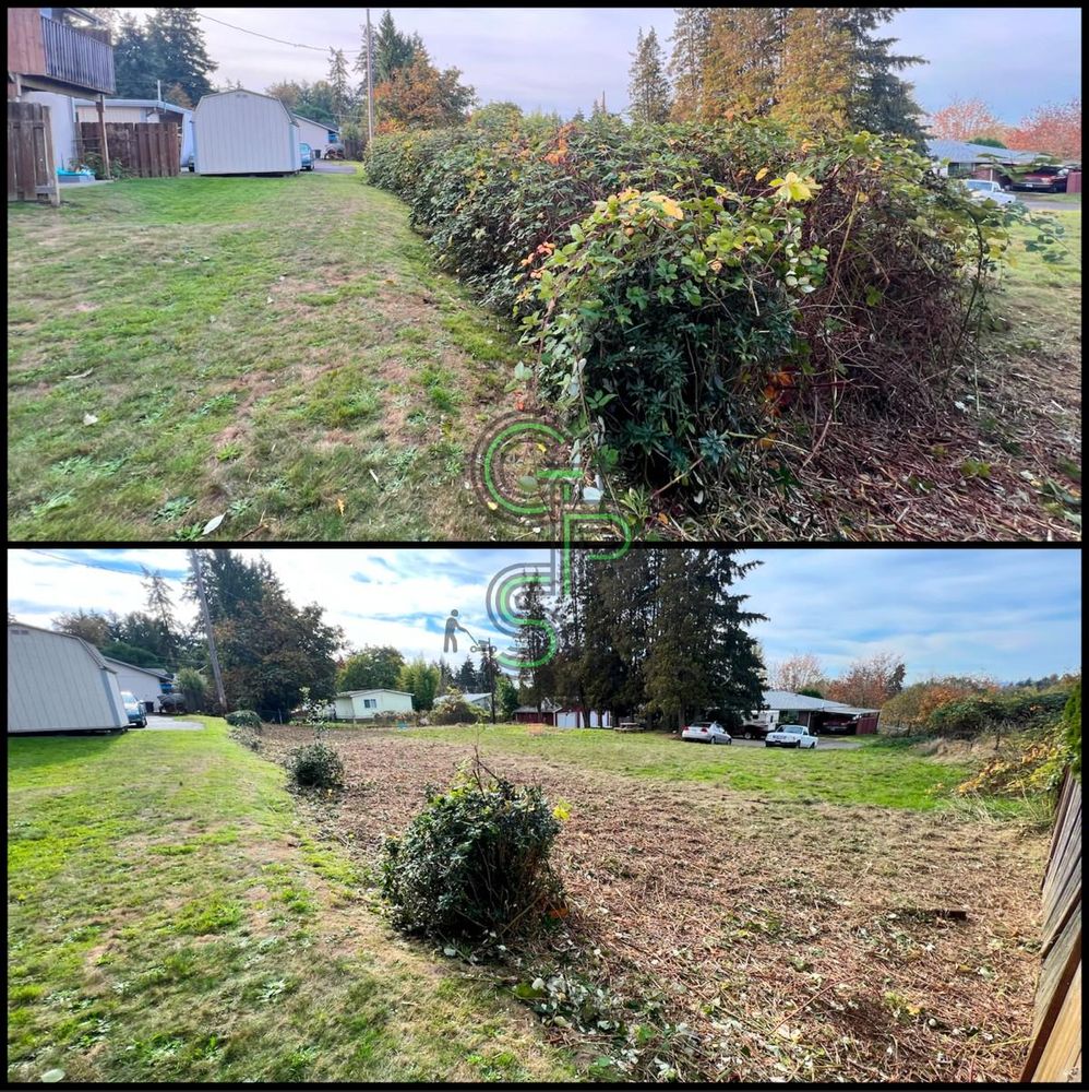 Fall Clean Up for Golovin Property Services LLC in Marysville, WA