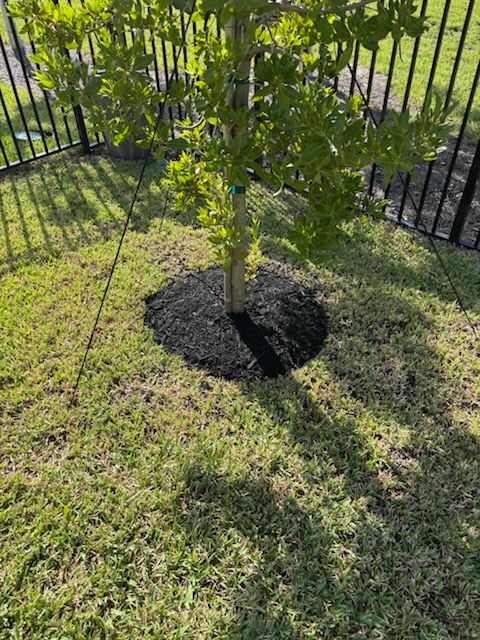 All Photos for Madissons Green in West Palm Beach ,   FL