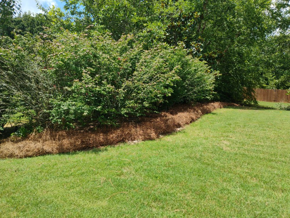 All Photos for BAM Another Pinestraw Lot in Flowery Branch, GA