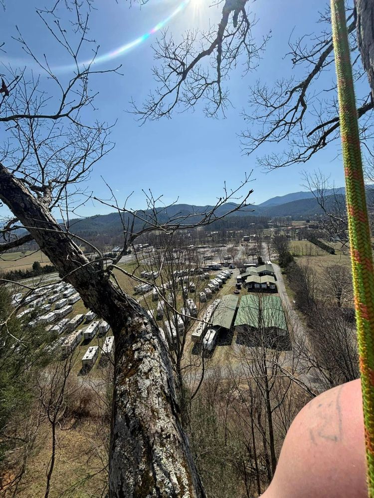 All Photos for Wade's Family Tree Service in Townsend, TN