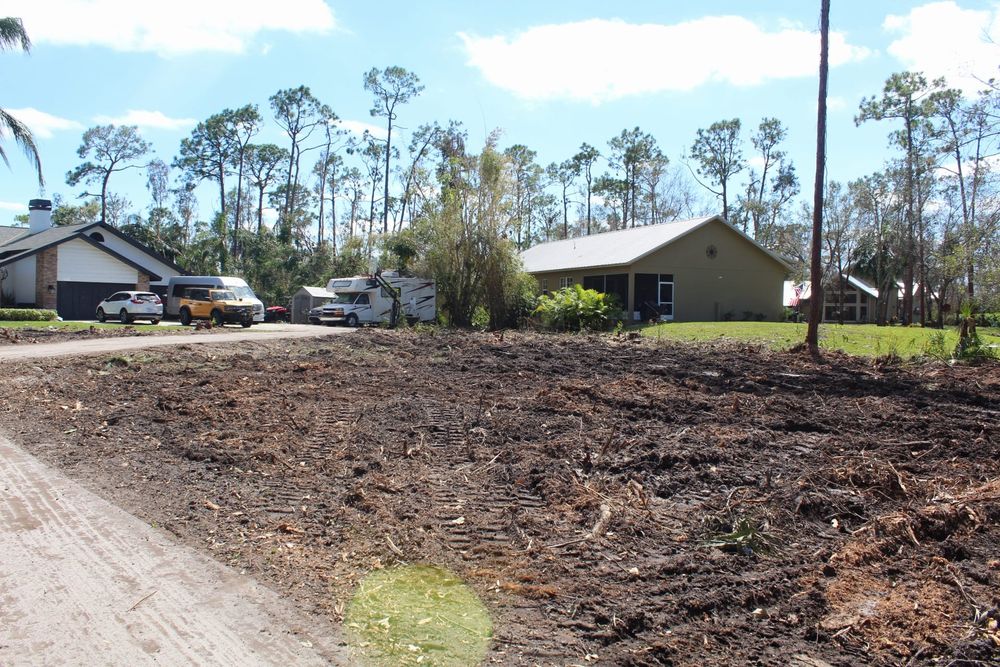 Tree Removal for American Tree Masters in Alvin, TX
